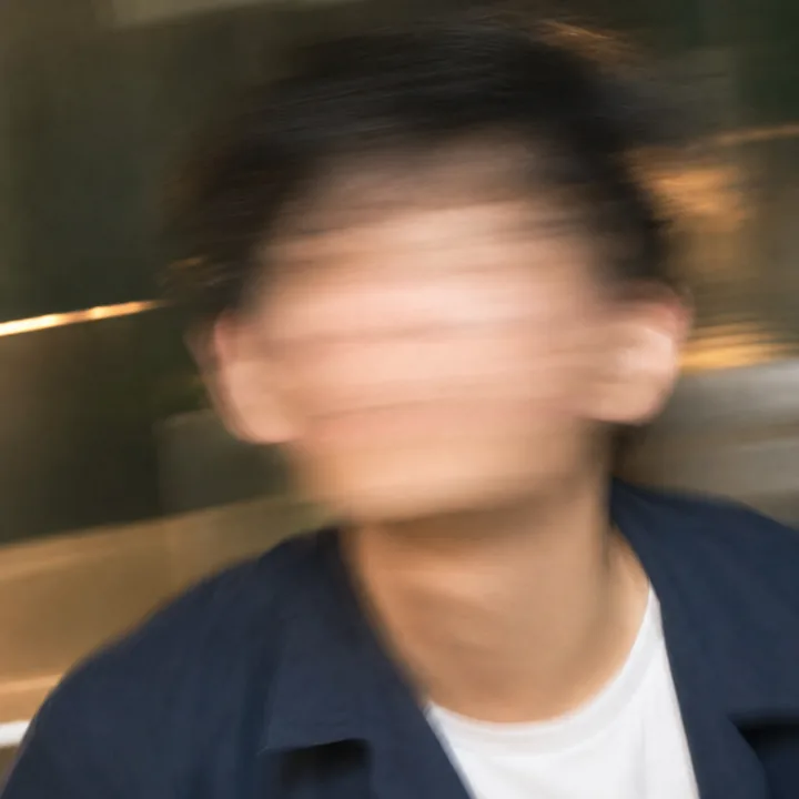 严重运动模糊照片示例